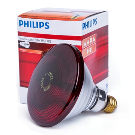 IRR BULB